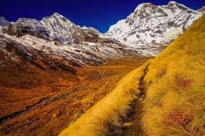 Annapurna Base Camp Trek - Reviews, Pricing, and Booking