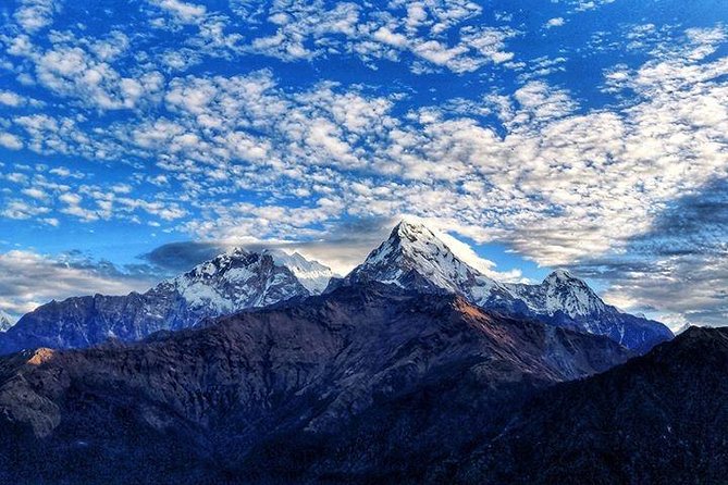 Annapurna Base Camp Trek and Chitwan Excursion - Exclusions From the Package