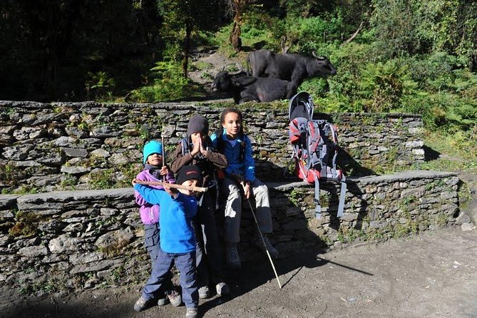 Annapurna Ghorepani Poon Hill Trek - Accommodation Options