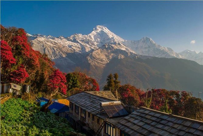 Annapurna Khopra Ridge - Common questions