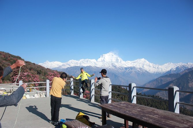 Annapurna Poon Hill Trekking - 4 Days From Pokhara - Viator Help Center