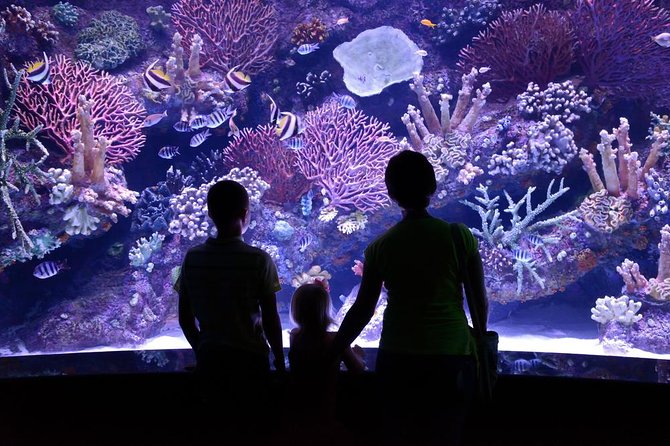 Antalya Aquarium Admission With Optional Antalya City Tour and Duden Waterfall - Additional Entertainment Options