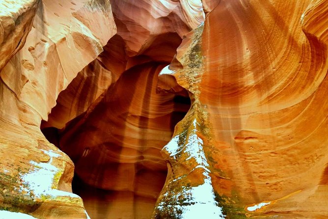 Antelope Slot Canyon and Horseshoe Bend Day Tour From Flagstaff - Reviews