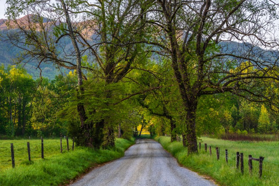 Appalachian Mountain Self-Guided Driving Audio Tour Bundle - Booking and Cancellation Policy