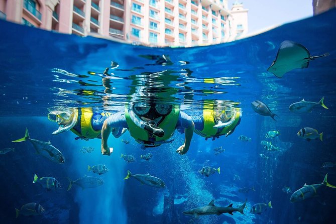 Aquaventure Waterpark With Lost Chambers Aquarium With Transfer Option Available - Additional Information