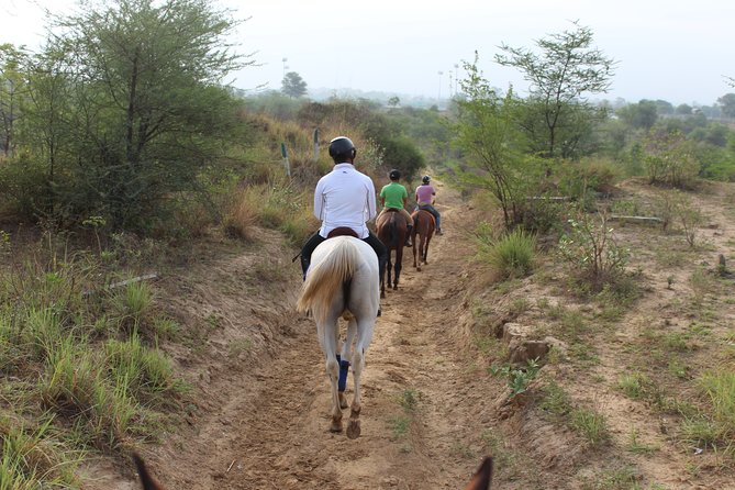 Aravali Trail Experience( Jungle Safari Forest Area)- Horseback Riding - Accessibility and Facility Considerations