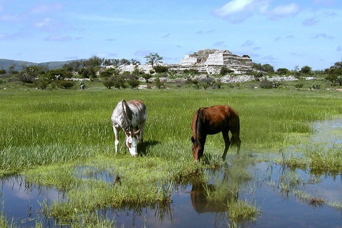 Archaeologist-Led Cañada De La Virgen Pyramid Tour - Tour Details