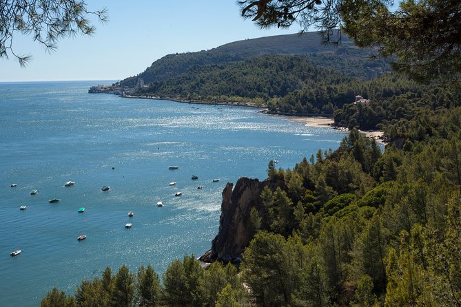 Arrabida Full Day Private Tour With Wine Tasting - Tour Title and Specifics