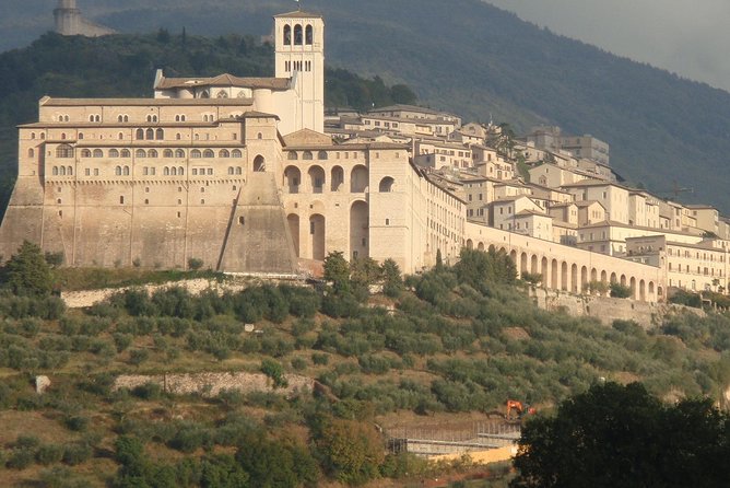 Assisi, City Highlights and Basilica of St. Francis Tour - Pricing and Booking