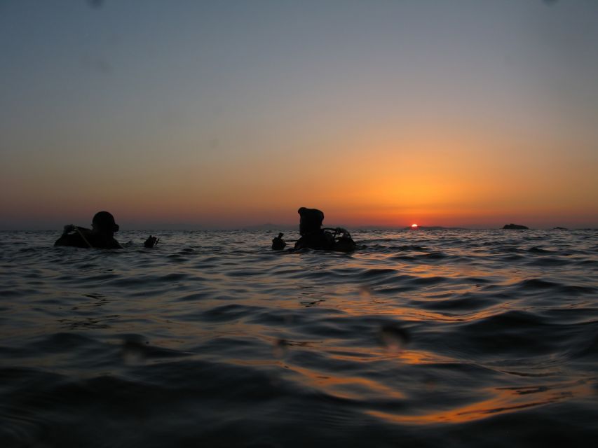 Athens: Adventure Dives in Nea Makri for Certified Divers - Price and Reviews