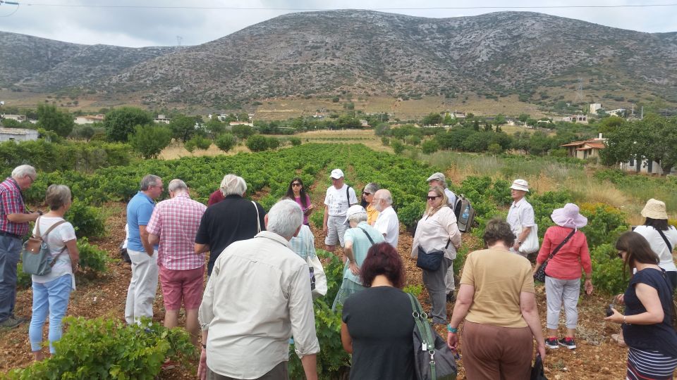 Athens: Private Wine Tour and Lunch at the Seaside - Pricing