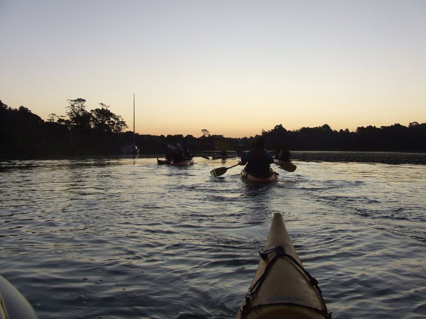 Auckland: Bioluminescence Kayak Tour by Night With Tuition - Review Summary