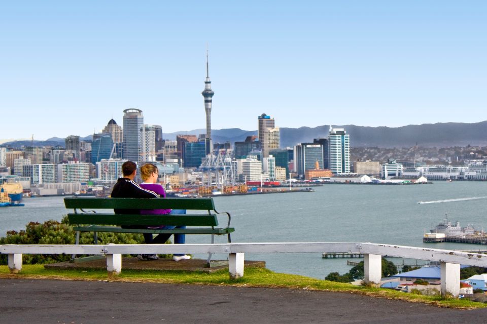 Auckland City, Beaches & Rainforest Premium Small Group Tour - Tour Highlights