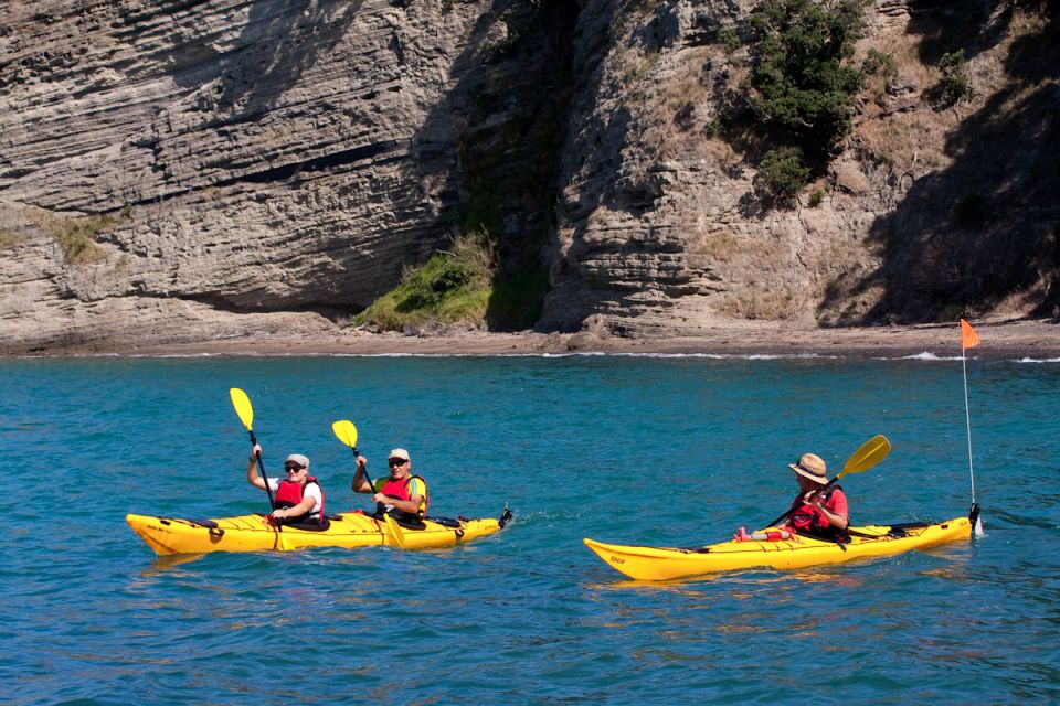 Auckland: Half-Day Sea Kayak Tour to Motukorea Island - Accessibility Information