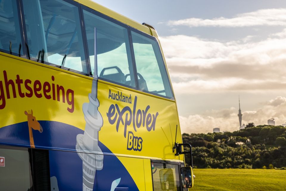 Auckland: Hop-On Hop-Off Explorer Bus Ticket - Review Summary