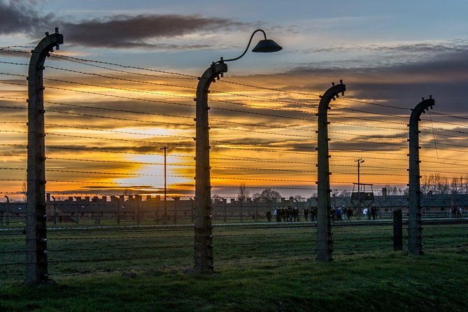 Auschwitz Birkenau and Wieliczka Salt Mine- Full Day Tour With Private Transport - Traveler Assistance