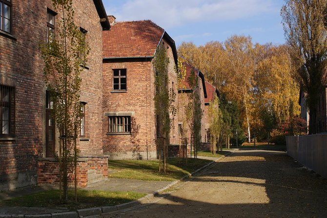 Auschwitz-Birkenau Group Tour From Krakow - Common questions