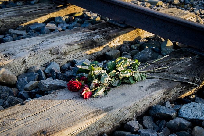 Auschwitz-Birkenau Memorial and Museum Guided Tour From Krakow - Learning About the Holocaust Importance