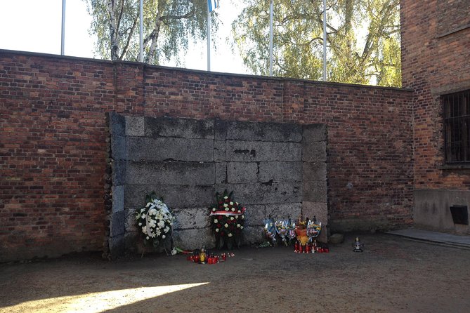 Auschwitz-Birkenau Museum and Memorial Guided Tour From Krakow - Recommendations and Warnings