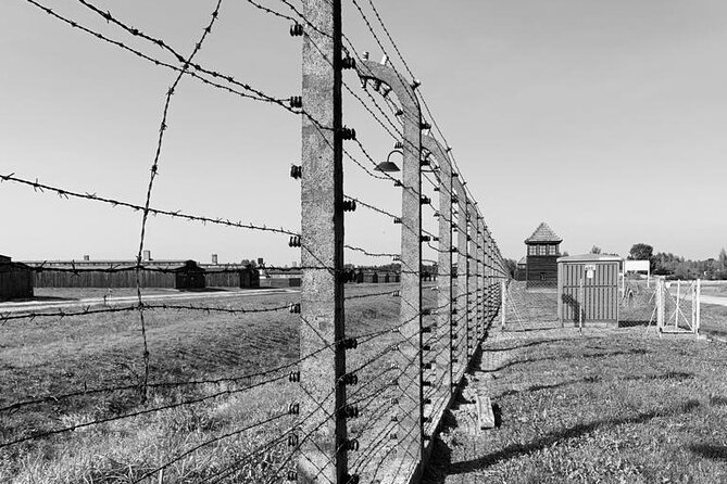 Auschwitz-Birkenau Self-Guided Tour From Krakow - Historical Significance