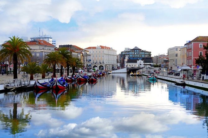 Aveiro and Coimbra Beauty and History Tour - Reviews and Recommendations