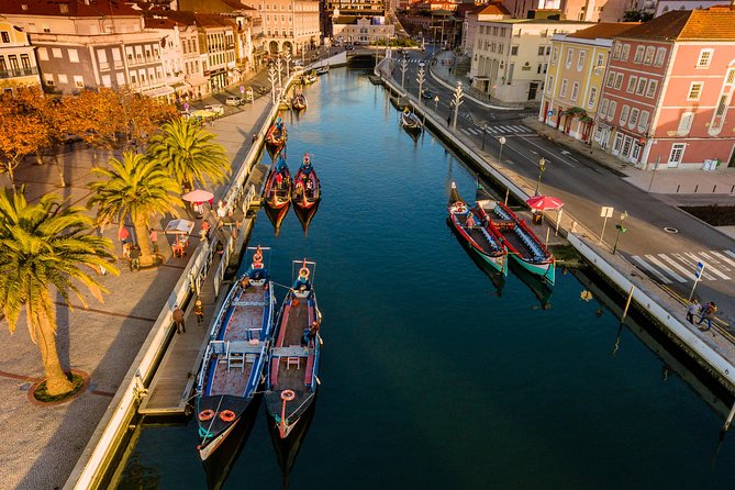 Aveiro Half-Day Tour With Moliceiro River Cruise From Porto - Directions and Logistics