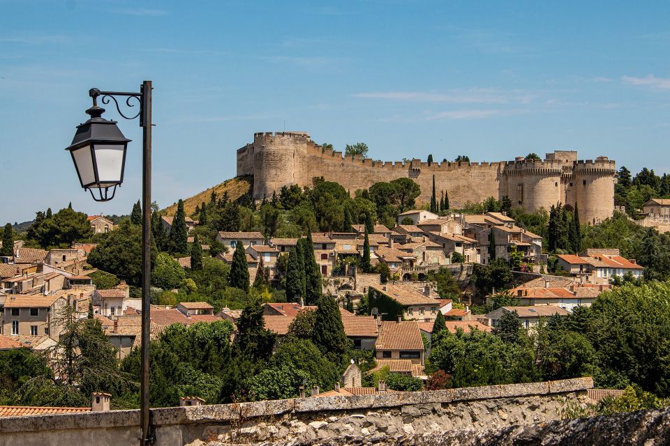 Avignon Private Guided Tour and Wine Tastings From Marseille - Châteauneuf Du Pape Tastings