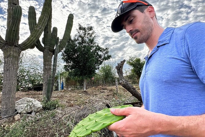 Azteca Cactus Taco - Farm to Table Cooking Class in Los Cabos - Location Highlights and Experience Inclusions