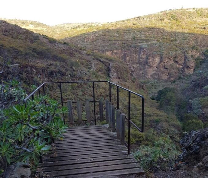 Azuaje Laurisilva Tour - Stream Bed Ascent and Volcanic Surroundings