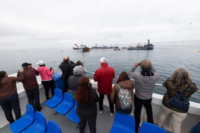 Barbate: Boat Tour to the Almadraba of Conil (Tuna Fishing) - Booking Information