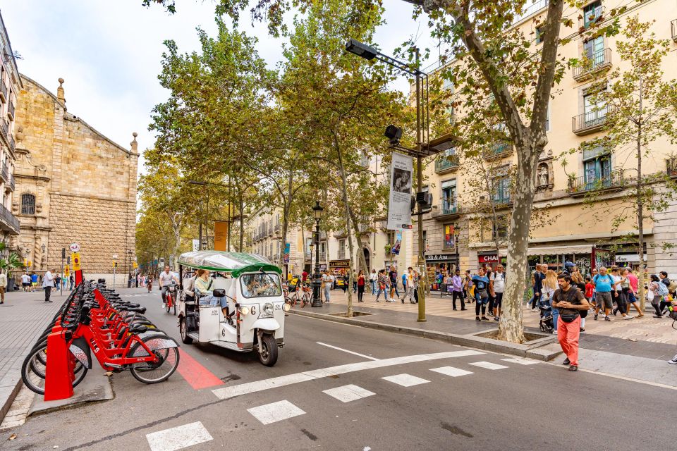 Barcelona: City Tour by Private Eco Tuk Tuk - Review Summary