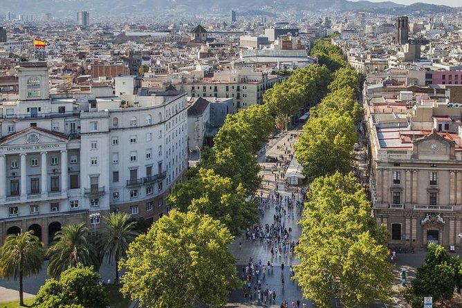 Barcelona - Lets Explore the Hidden Gems With a Local (Private Tour) - Sustainability Efforts and Carbon Neutrality