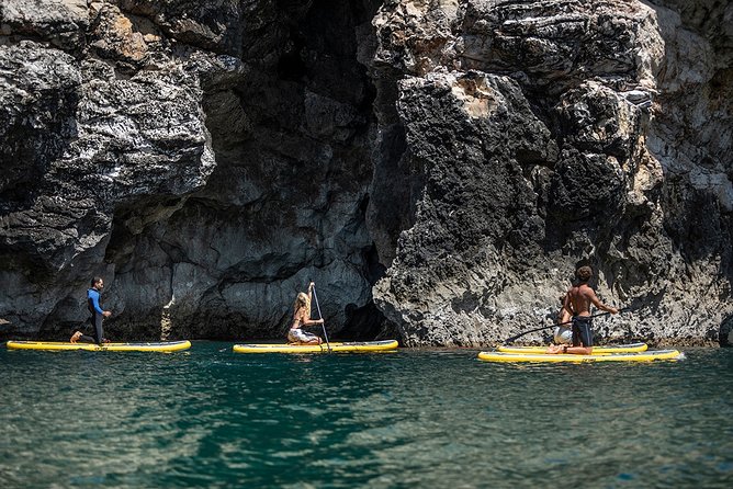 Barranco Grottos & Caves Stand Up Paddle Tour - Contact Information