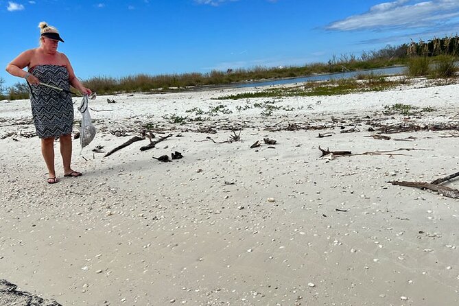 Barrier Island Small-Group Shellfish Hunt With Naturalist  - Naples - Customer Reviews