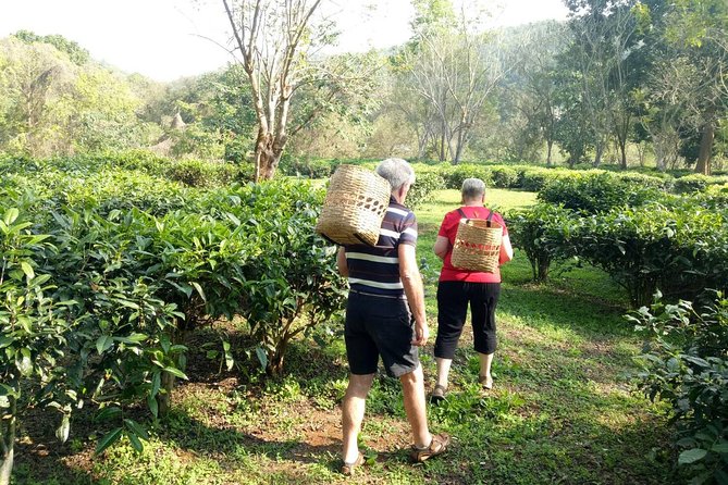 Bau Thong Waterfalls, Tea, and Wat Ban Den Private Tour - Additional Information