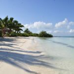 4 beach escape isla contoy and isla mujeres with snorkeling Beach Escape: Isla Contoy and Isla Mujeres With Snorkeling.