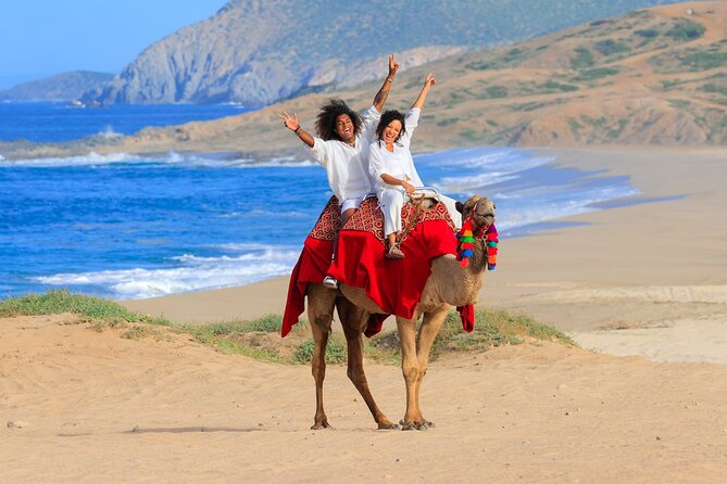 Beach UTV & Camel Ride COMBO in Cabo by Cactus Tours Park - Booking Details