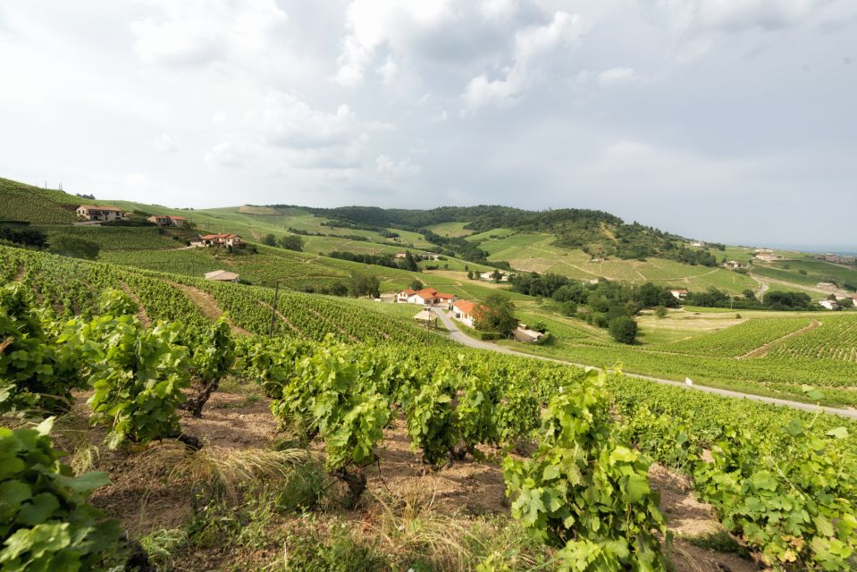 Beaujolais: Segway Tour With Wine Tasting - Additional Information