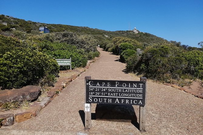Best of Cape Private Tour, Penguins and Wines in Constantia - Franschhoek and Paarl