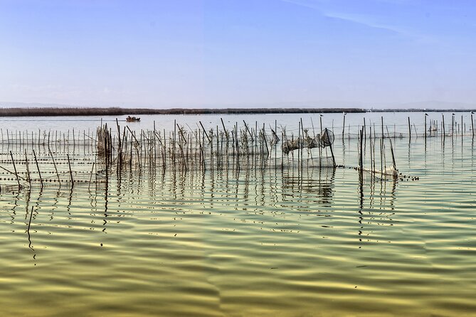 Bike Tour to Albufera Lake: Private Half Day - Questions and Legal Information
