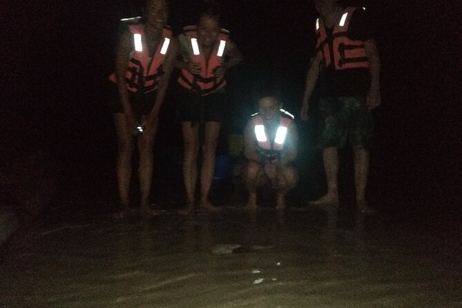 Bioluminescence Tour in Kayak in Holbox Island - Weather Dependence and Traveler Feedback