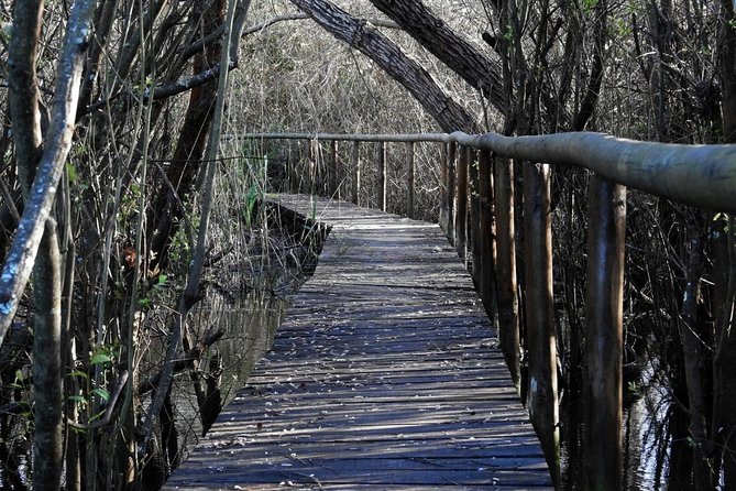 Bird Watching in Albufeira Lagoon - Conservation Efforts and Impact