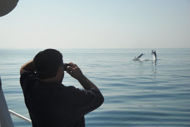 Boat Trip for Dolphin Watching Along the Arrabida Coast and Sesimbra - Traveler Reviews and Ratings