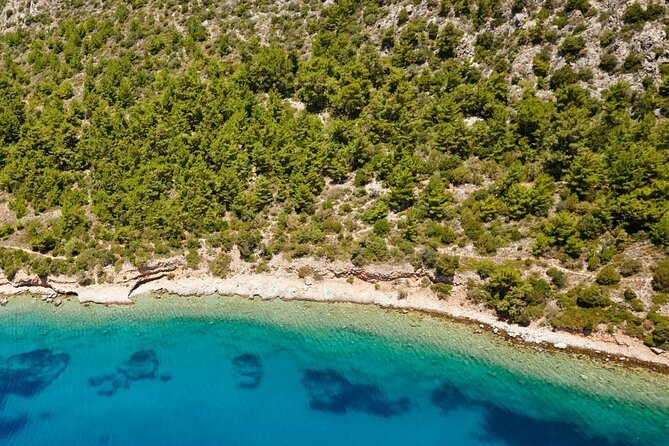 Bodrum Boat Trip With Lunch and All Soft Drinks - Important Information and Accessibility