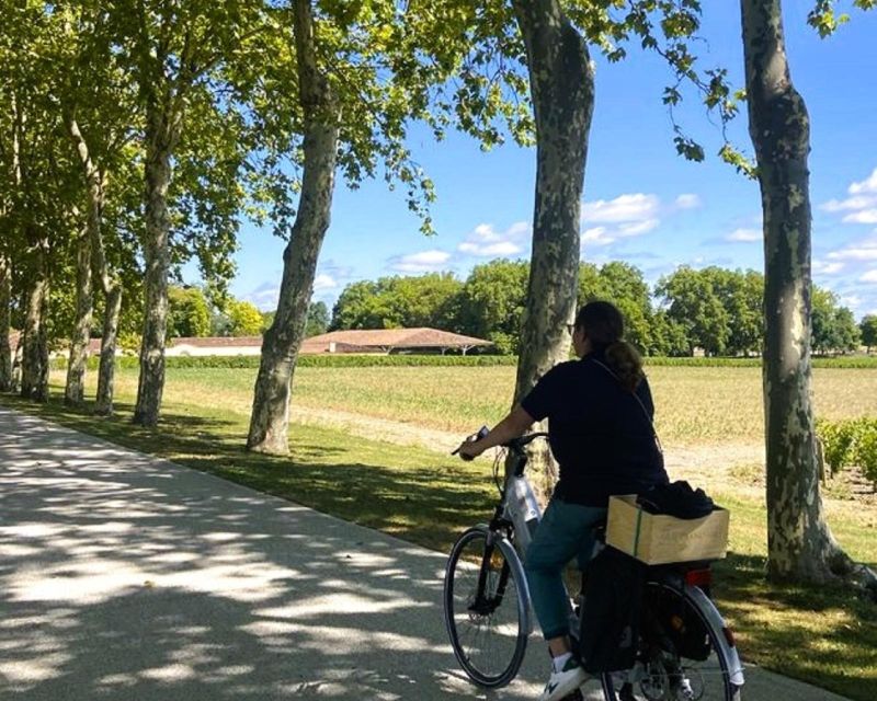 Bordeaux: St-Emilion Vineyards E-Bike Tour With Wine & Lunch - Reservation & Payment