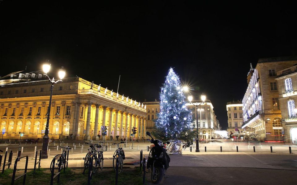 Bordeaux: Tour With Private Guide - Tour Description