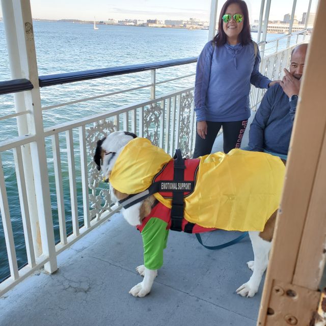 Boston: Scenic Harbor Cruise (Dog-Friendly) - Booking Information