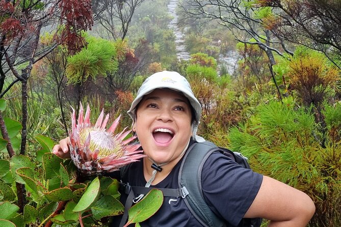 Breathtaking Table Mountain Guided Hike - Off the Beaten Track! - Reviews, Photos, and Inquiries