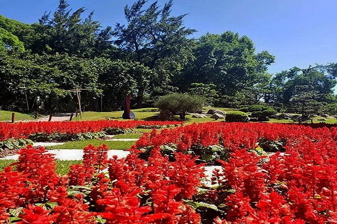 Buenos Aires Private Tour Discovering Palermo, The Japanese & Botanical Gardens - Tips for an Unforgettable Experience