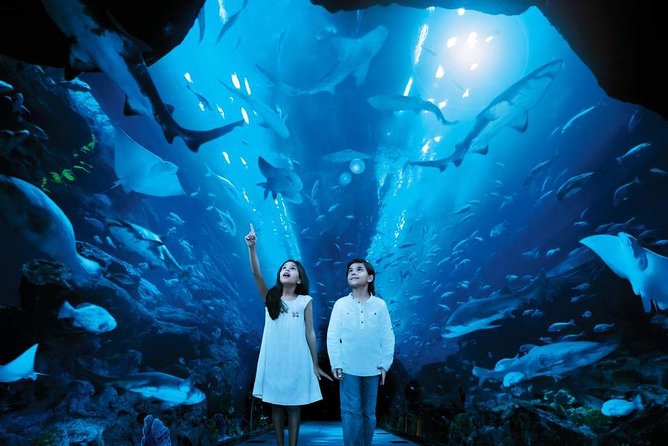 Burj Khalifa At the Top Ticket With Dubai Aquarium & Underwater Zoo - Helpful Information and FAQs